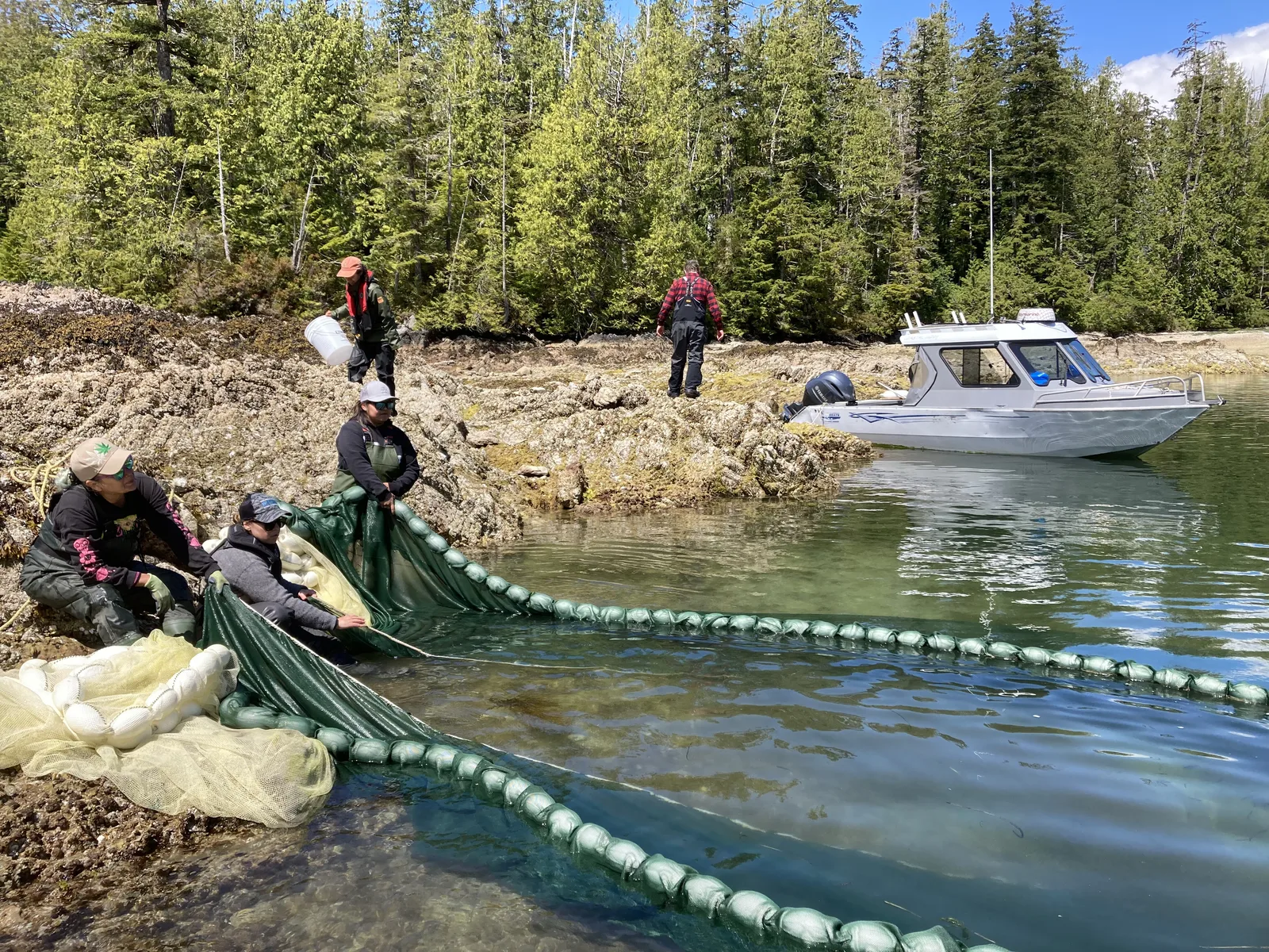 Pulling a beach seine