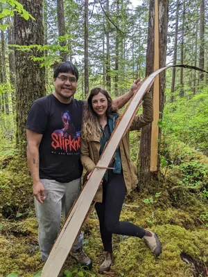 Gold River — First cedar harvest