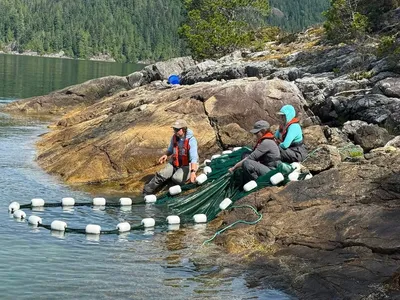Nookta Sound, BC